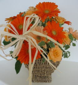 ����ԁ@���ԃA�����W/�r�^�~���J���[�o�X�P�b�g